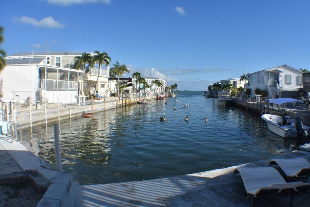 Pelican'S Roost, Waterfront Comfort At Venture Out Cudjoe Key エクステリア 写真