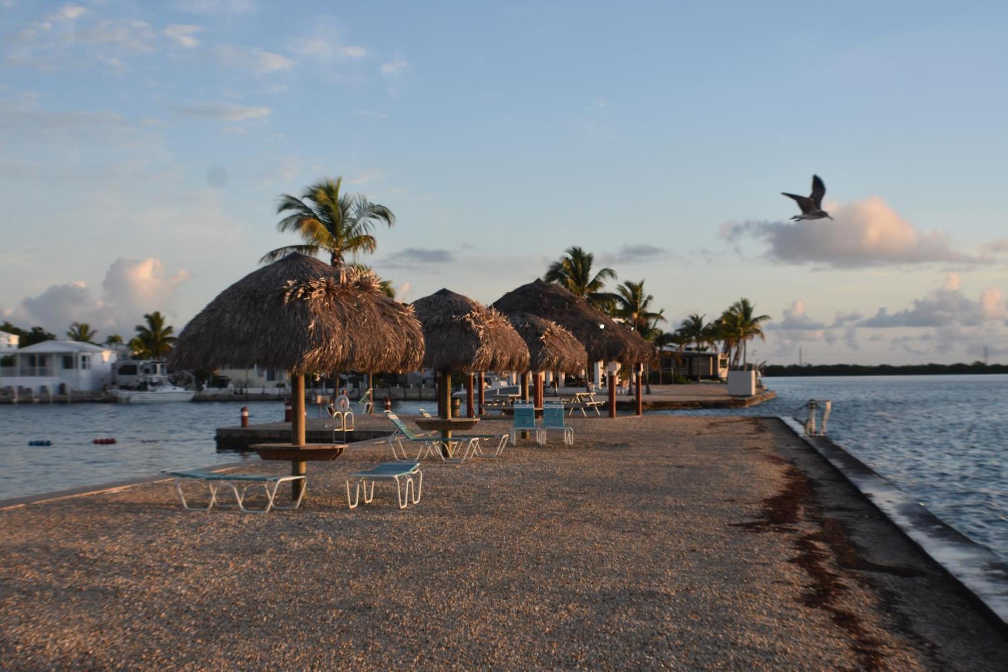 Pelican'S Roost, Waterfront Comfort At Venture Out Cudjoe Key エクステリア 写真